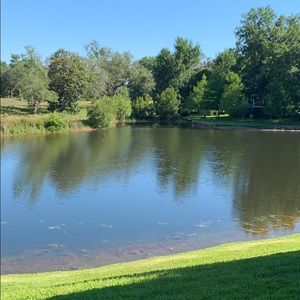 Meet your Posher, Mardie